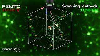 3D Multi-Line Scanning