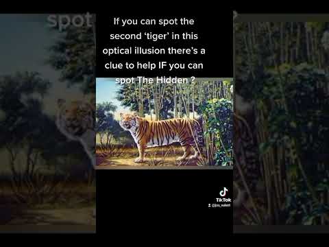 tiger optical illusion