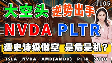NVDA被大空头做空，AI行情里的明牌操作，散户要如何应对？PLTR就此结束了么？ #tsla    #nvda     #amd  #spy    #pltr     #sqqq