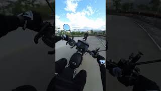 Downhill 110cc #motodeck