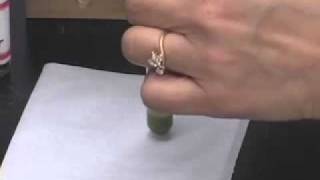 Chromicacidlab7.mov Chromicacidlab7.mov