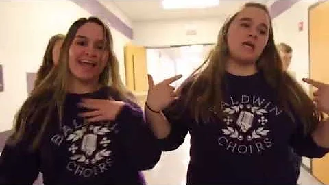 Baldwin High School Lip Dub 2019