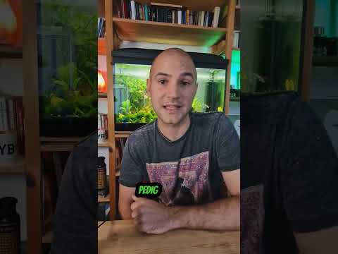 A BlockFi elkezdi a károsultak kifizetését!