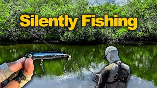 Fishing Florida Mangroves In Silence  NonStop Action!