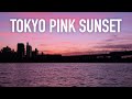 🌙 Beautiful Sunset Relaxation / Aesthetic Tokyo Sunset / 30 Minute Mediation / 多摩川夕焼け