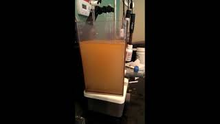 Bench Scale Dissolved Air Floatation