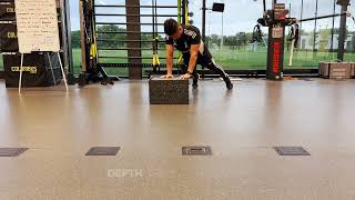 Depth Drop Plyo Pushup Stick