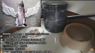 24h貓咪觀察室#478 咪爺~一路好走，到貓星奔馳吧 20200923 (MiMi醬＆黑妞＆阿金＆黑輪 歐戀) Cat Observation