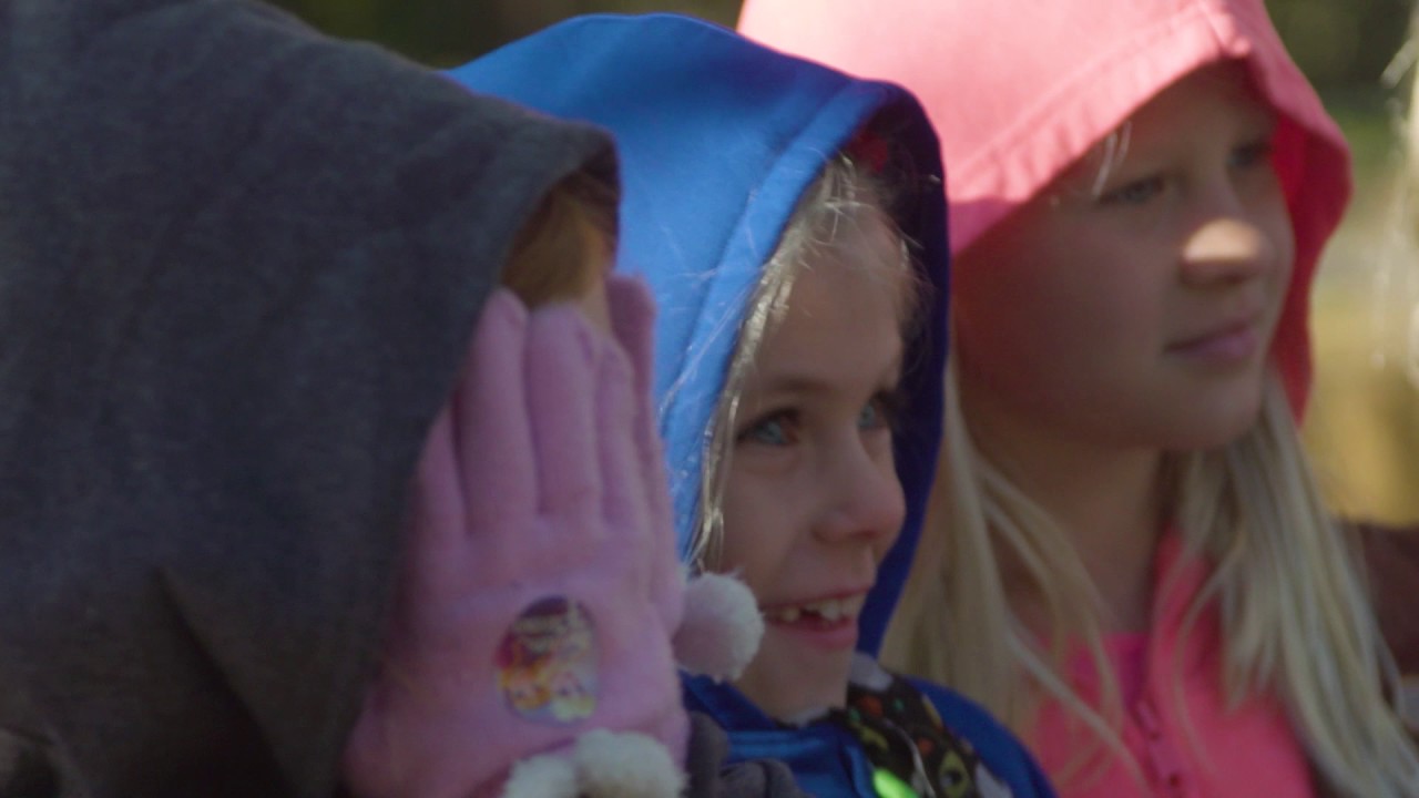 Farbach-Werner Nature Preserve - Great Parks of Hamilton County