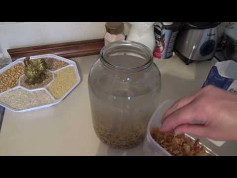 Video: Kako Napraviti Ovseni Kvas