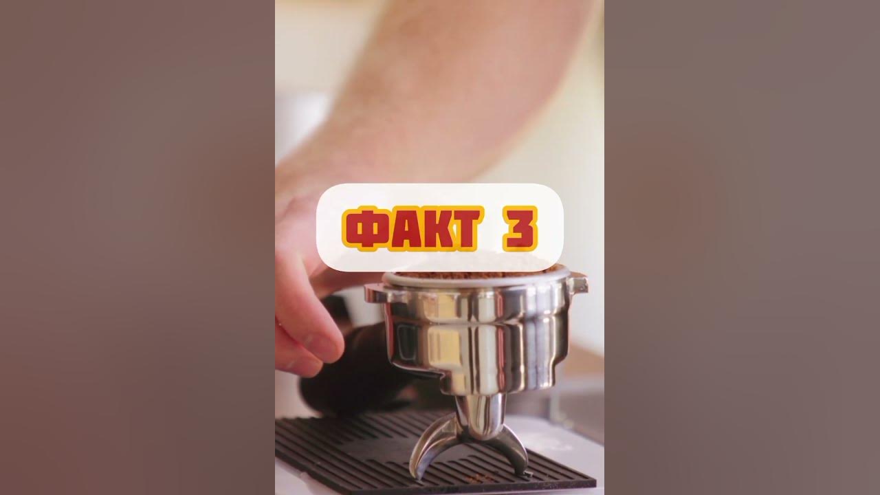 Цікаві факти про каву ! #Факи #Кава - YouTube