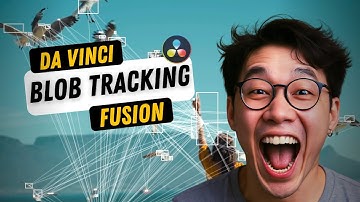 Blob Tracking in DaVinci Resolve Fusion | Download File (.fuse)