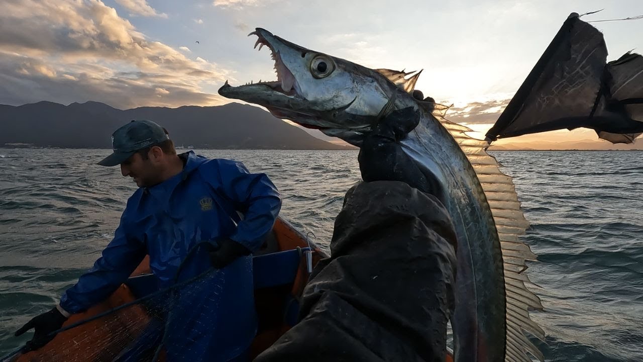 PESCARIA DE ESPADA E CAMARÃO - Camarão Enrolado na Espada com Fio de Cebola