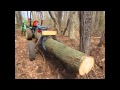 Slide show of my Log-Claw arch build