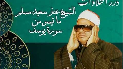 الشيخ عنتر سعيد مسلم ما تيسر من سورة يوسف