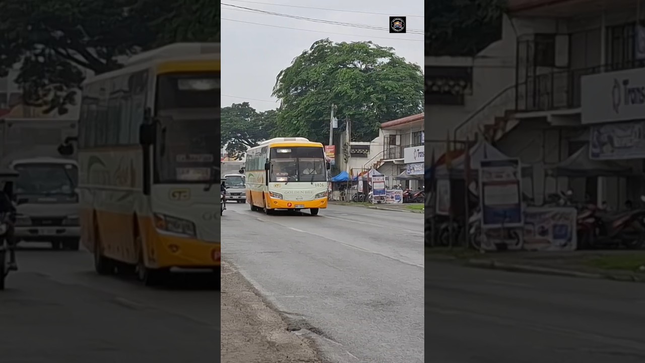 Golden Bee Transport & Logistics Corp. 1026, Baliwag Transit Inc. 1751, Luzon CISCO 334. 