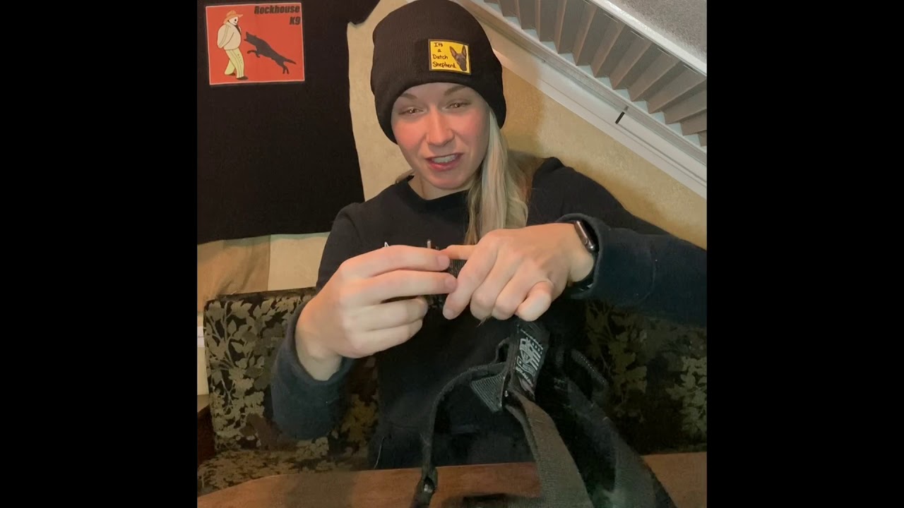 Ray Allen Core Harness Demo/Review