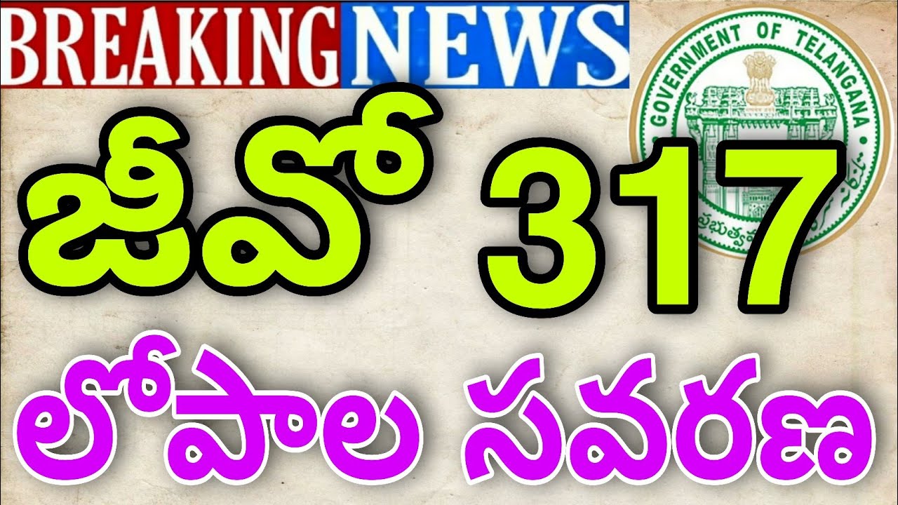 TS G.O.317 AMENDMENT|317 జీవో లోపాల సవరణ