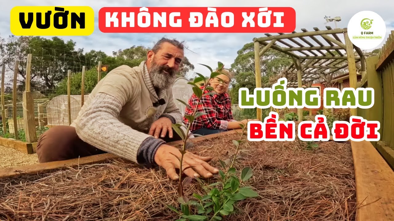 Mẹo Làm Vườn Không Đào Xới: Bí Quyết Tạo Luống Rau Nâng Cao Bền Vững Cho Mọi Mùa