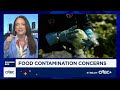 USDA Secretary Brooke Rollins: Food prices are beginning to settle down and stabilize