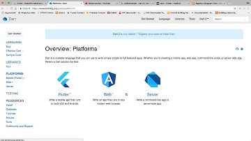 Flutter Dart Dersleri 2 Dart Tanıtımı