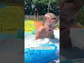 He’s living his best life 🥹