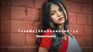 Tune Mujhko Deewana Kiya Slowed Reverb Lofi song