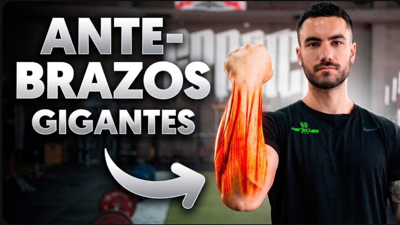 ANTEBRAZOS Grandes: Dónde Está Realmente el Tamaño (con… — Transcript