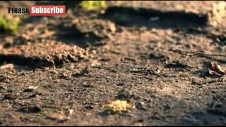 Menerima Takdir, Semua Pendengarnya Larut Dalam Alunan. Puisi Cinta,