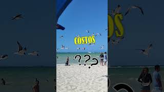 Mira como es el puerto de progreso en la peninsula de yucatan  costos y mas #playa #playasdemexico