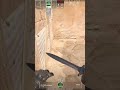 CS2 Bombayı Bulamayan Adam #csgo #counterstrike2 #counterstrike #gaming #csgoclips #kick