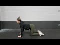 Cat Cow - Exercise Library