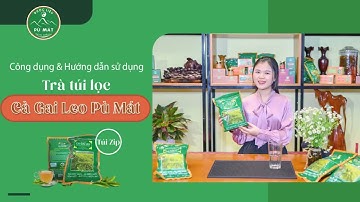 Hướng dẫn sử dụng Trà Cà Gai Leo Túi Lọc Dược Liệu Pù Mát túi zip 250g