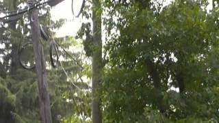 Verizon Utility Pole Rockaway NJ