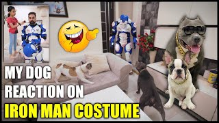 My Dogs Reaction on Iron Man Costume | Funny Dog Family Video | Brody Bunny |  Harpreet SDC