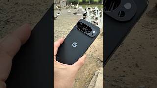 Google Pixel 9 Pro XL Zoom Test! 🔍 #pixel #google
