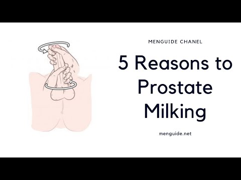 5 Reasons To Prostate Milking