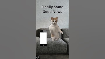 HealthCheckKaro App - Feature Explainer Video