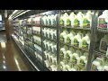 Good Question How Do The 4 Types Of Milk Differ From One Another Good Question How Do The 4 Types Of Milk Differ From One Another
