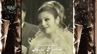Ajda Pekkan Yabancı Olduk Şi̇mdi