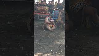 SLUKU-SLUKU BATOK PART.3||NANDA INU