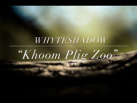 Video: Cov Khoom Plig Tsis Zoo Thiab Cov Khoom Plig Zoo Tshaj Plaws