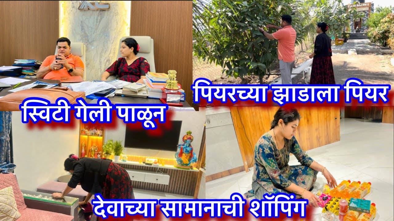 आज सगळ्यांनी का मारली सुट्टी || पियरच्या झाडाला आले पीयर || स्विटी गेली आज पळून ….