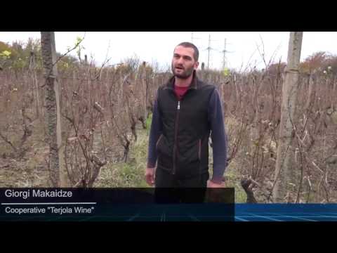 გადაცემა ,,მრავალკუთხედი\" : კოოპერატივების განვითარების საკითხები საქართველოში – შეხვედრა იმერეთში.