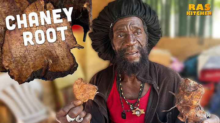 For the Bed Wetters! Chaney Root Tea with Rasta Mo...