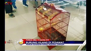 Burung Kicau Seharga Rp150 Juta Hilang di Bagasi Pesawat Garuda - BIP 20/12