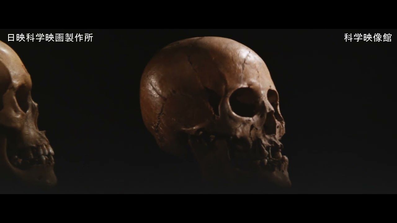 NHKビデオ　日本100年現代日本の歩み NHKビデオ 日本100年現代日本の歩み 【公式通販】