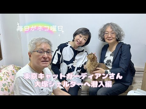 毎日がネコ曜日 日曜日版 今週も東京キャットガーディアン「大塚ケアシェルターに潜入!」をお届けします!