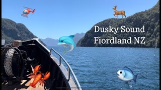 Fishing/Hunting/Diving the Dusky Sounds with Cruise Fiordland