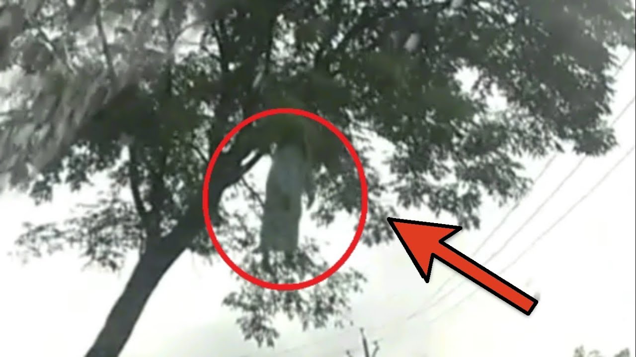 5 Ghost Videos You Never Saw Before